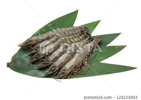 Headed Black Tiger_11 (with pass) 128228883