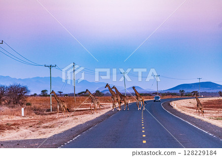Mount Kilimanjaro Landscapes Highway Road Kimana Emali Oloitokitok Kenya Tanzania 128229184