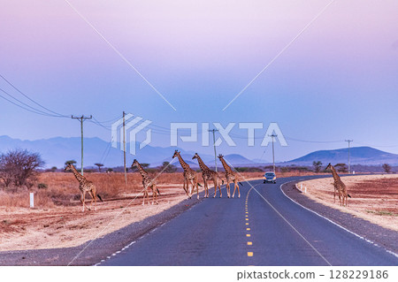 Mount Kilimanjaro Landscapes Highway Road Kimana Emali Oloitokitok Kenya Tanzania 128229186