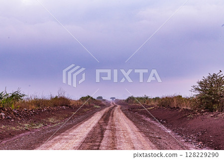 Nairobi City County National Park Wildlife Landscapes Kenya East Africa Nairobi City County National Park Wildlife Landscapes Kenya East Africa 128229290