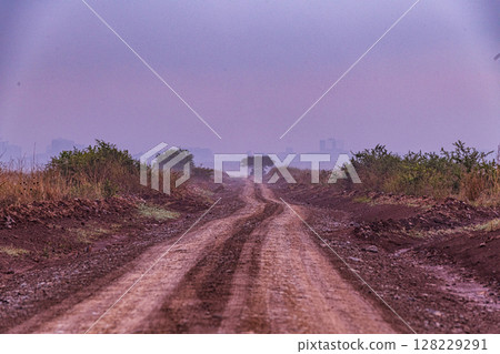 Nairobi City County National Park Wildlife Landscapes Kenya East Africa Nairobi City County National Park Wildlife Landscapes Kenya East Africa 128229291