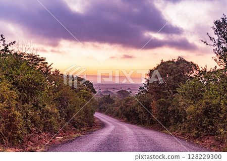 Nairobi City County National Park Wildlife Landscapes Kenya East Africa 128229300