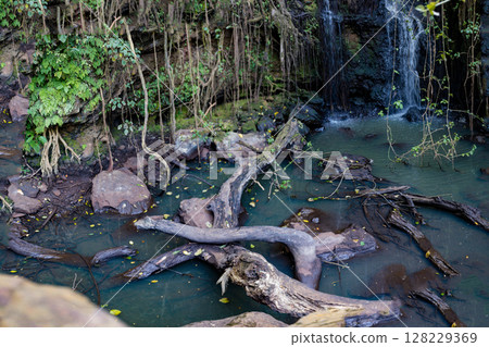 Kenya Landscapes Panoramic Scenic Views Fields Meadows Great Rift Valley 128229369