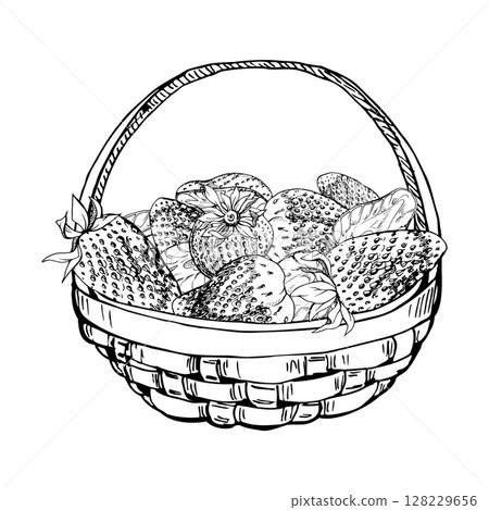 Strawberry in weaved basket, hand drawn in vector ink, ripe picked garden berry harvest heap, pineberry strasberry snakeberry. Isolated illustration. Restaurant menu, cookbook, farmers market grocery Strawberry in weaved basket, hand drawn in vector ink, ripe picked garden berry harvest heap, pineberry strasberry snakeberry. Isolated illustration. Restaurant menu, cookbook, farmers market grocery 128229656