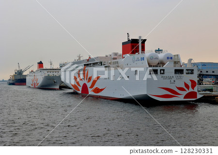 Two Sunflowers at Cosmo Ferry Terminal, Osaka Nanko Two Sunflowers at Cosmo Ferry Terminal, Osaka Nanko 128230331