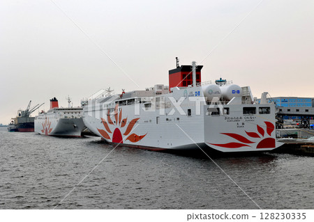 大阪南港科斯莫渡輪碼頭的兩朵向日葵 128230335