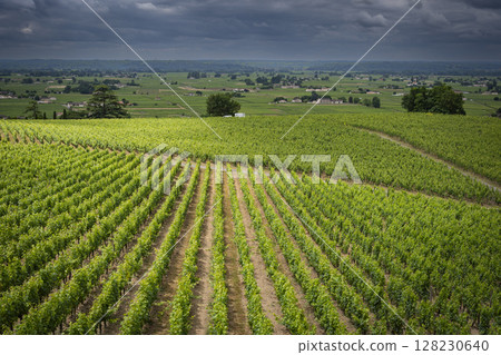 Scenic view of Bordeaux vineyards in AOC Saint-Emilion under dramatic clouds during springtime 128230640