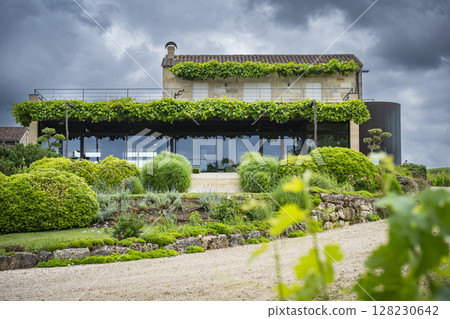 Visit to Chateau Pavie-Macquin showcasing lush vineyards and historic architecture in Saint-Emilion 128230642
