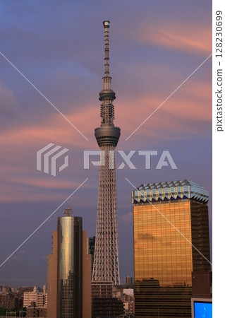 被夕陽染成紅色的東京晴空塔 被夕陽染成紅色的東京晴空塔 128230699