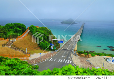 Kiri no Tsunoshima Bridge 2180 128231188