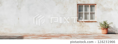 Simple courtyard featuring a white wall and potted plant on a sunny day 128231966
