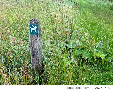 Sign dog on a leash in the middle of a gfeen field 128232620