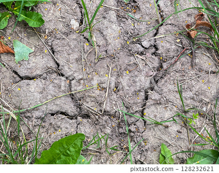 Land with dry and cracked ground 128232621