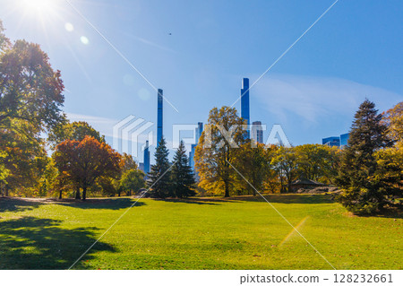 Central Park in New York City on a sunny autumn 128232661