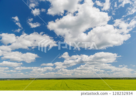 Wide green field under a sunny sky with scattered white clouds Wide green field under a sunny sky with scattered white clouds 128232934