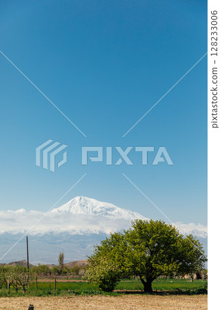 Beautiful landscape on Mount Ararat spring Beautiful landscape on Mount Ararat spring 128233006