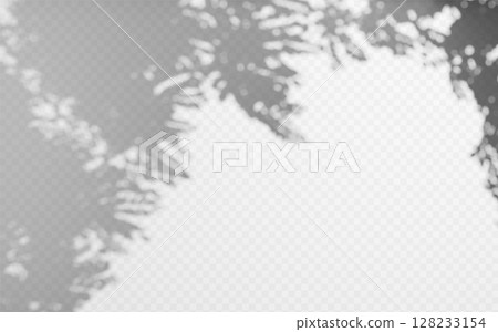 Abstract shadow overlay from tree branch on a transparent background. 128233154