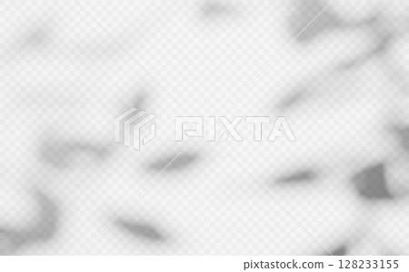 Abstract shadow overlay from tree branch on a transparent background. 128233155