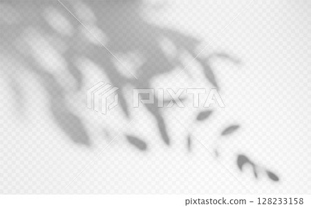 Shadow overlay from a tree branch isolated on a transparent background. 128233158