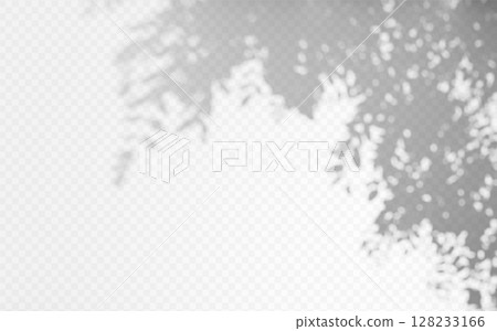 Shadow overlay from a tree branch isolated on a transparent background. Shadow overlay from a tree branch isolated on a transparent background. 128233166