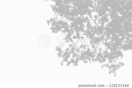 Shadow overlay from a tree branch isolated on a transparent background. 128233168