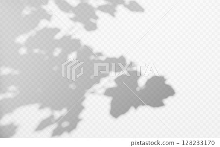 Abstract shadow overlay from tree branch on a transparent background. 128233170