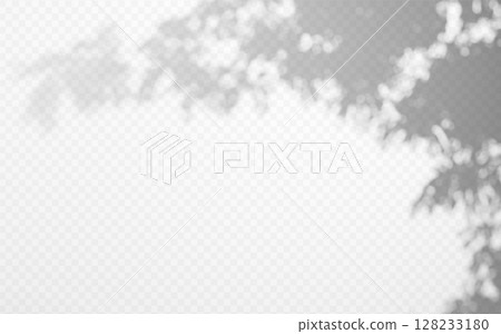 Abstract shadow overlay from tree branch on a transparent background. 128233180