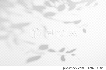 Abstract shadow overlay from tree branch on a transparent background. 128233184