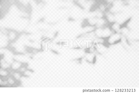Shadow overlay from a tree branch isolated on a transparent background. 128233213