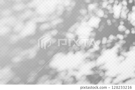 Abstract shadow overlay from tree branch on a transparent background. Abstract shadow overlay from tree branch on a transparent background. 128233216