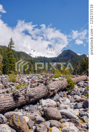 Majestic Mount Rainier rising above forests and river in the national park Majestic Mount Rainier rising above forests and river in the national park 128233516