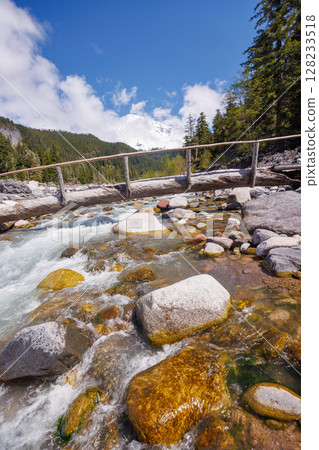 Majestic Mount Rainier rising above forests and river in the national park 128233518