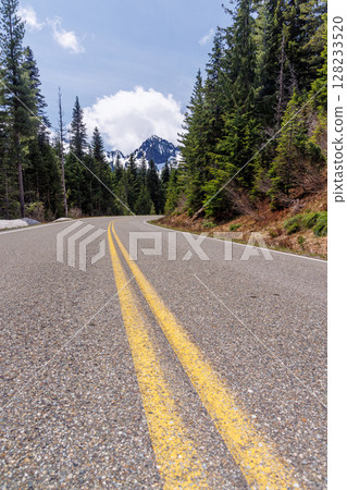 Scenic road in Mount Rainier National Park with fir trees on both sides and a snowy mountain 128233520