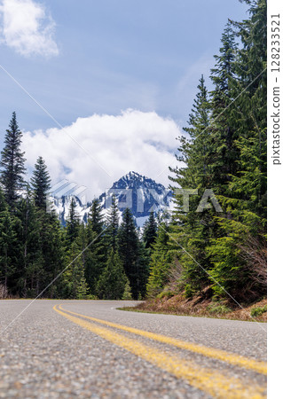 Scenic road in Mount Rainier National Park with fir trees on both sides and a snowy mountain 128233521