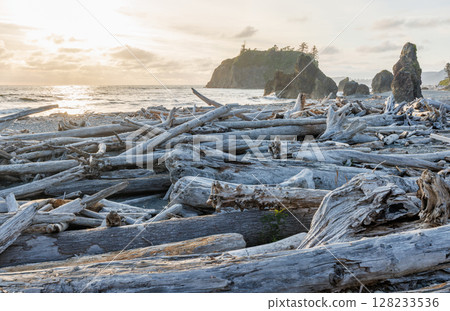 Pacific Ocean coast near Olympic National Park 128233536