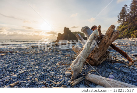 Pacific Ocean coast near Olympic National Park 128233537