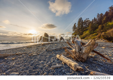 Pacific Ocean coast near Olympic National Park Pacific Ocean coast near Olympic National Park 128233539