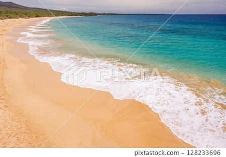 Sunny beach in Hawaii with golden sand, clear blue water under a bright sky 128233696