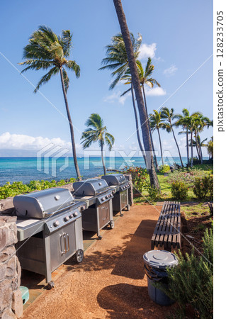 Barbecue area with grills overlooking the ocean 128233705
