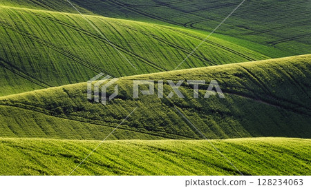 Beautiful spring landscape with field, hills and sunset. Czech Republic - South Moravia (Moravian Tuscany.) Concept for agriculture, travel, environment and nature. 128234063
