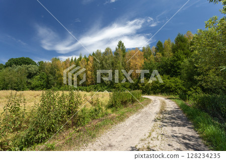 Dirt road towards the forest and blue sky with white clouds, Zarzecze, Poland 128234235
