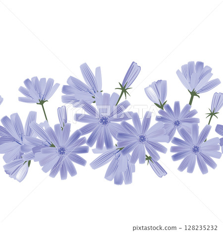Floral horizontal border with blue chicory flowers. Hand drawn endless pattern for packaging, greeting cards, invitation. Vector illustration. 128235232
