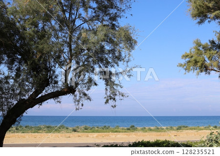 The Mediterranean coast in northern Israel 128235521