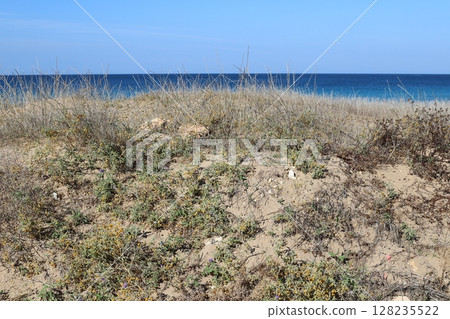 The Mediterranean coast in northern Israel 128235522
