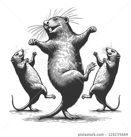 Dancing Otter engraving sketch vector illustration Dancing Otter engraving sketch vector illustration 128235684