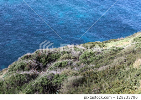 The Mediterranean coast in northern Israel 128235796