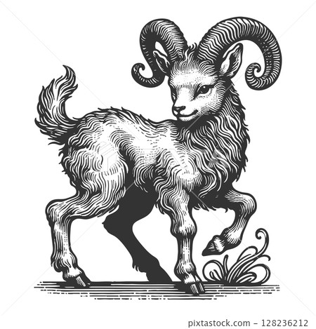 Majestic Ram engraving sketch vector illustration Majestic Ram engraving sketch vector illustration 128236212