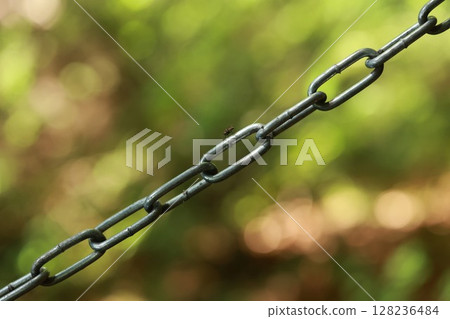 Chain link fence with a bug on it Chain link fence with a bug on it 128236484