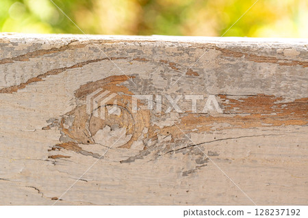 Weathered wooden surface with knots and peeling paint 128237192