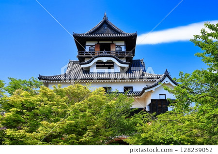 [Aichi] Fresh green Inuyama Castle castle tower 128239052